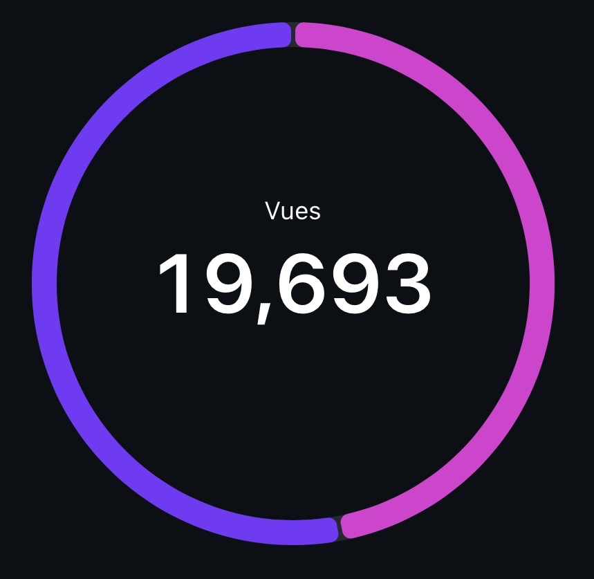 19 863 vues générées